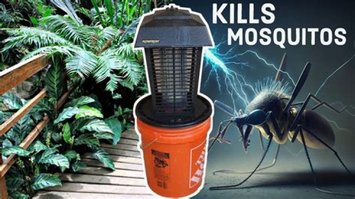 Do mosquito traps kill bees?