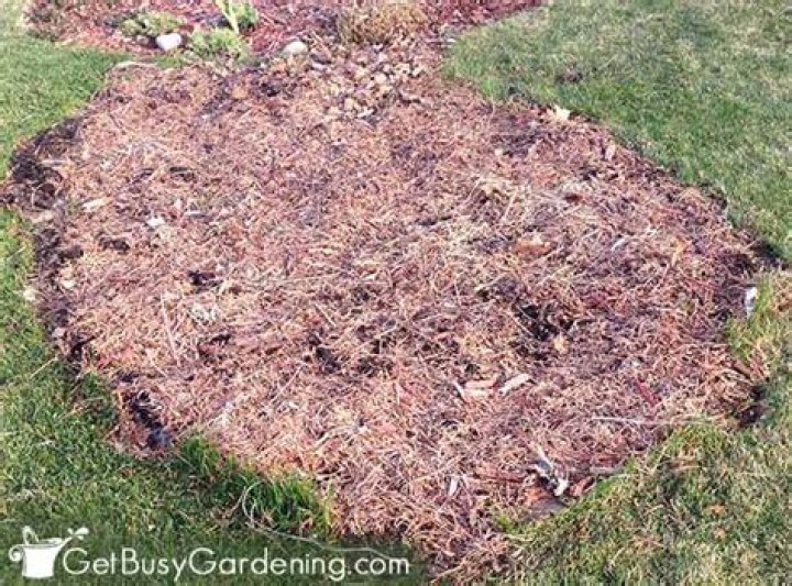 How do I get my garden bed ready for spring?