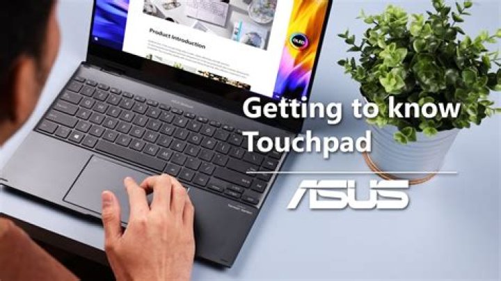 How do I know what touchpad driver I have?