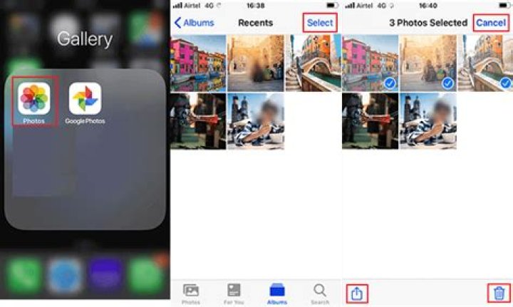 How do I select all photos in Picasa?