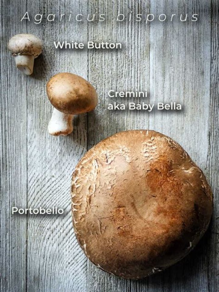 How do you cut baby portobello mushrooms?