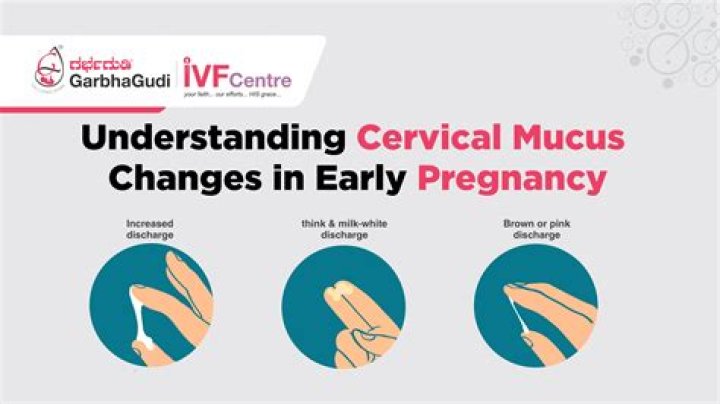 How long after ovulation does cervical mucus change?