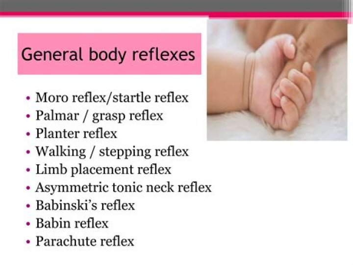 What are Chapman's reflexes? | ContextResponse.com