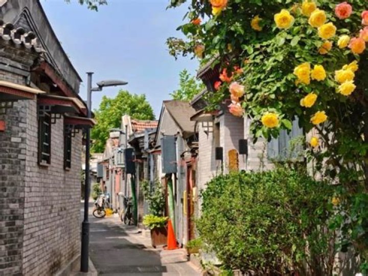 What are hutongs in China?