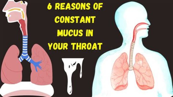 What causes excessive mucus in the throat?