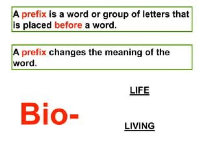 What does prefix bio mean?