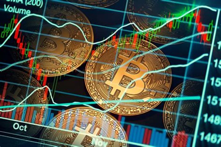 What is a Hodler in Cryptocurrency?