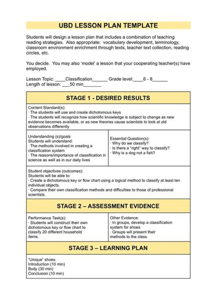 What is a UbD lesson plan?