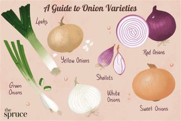 What is small onion called?