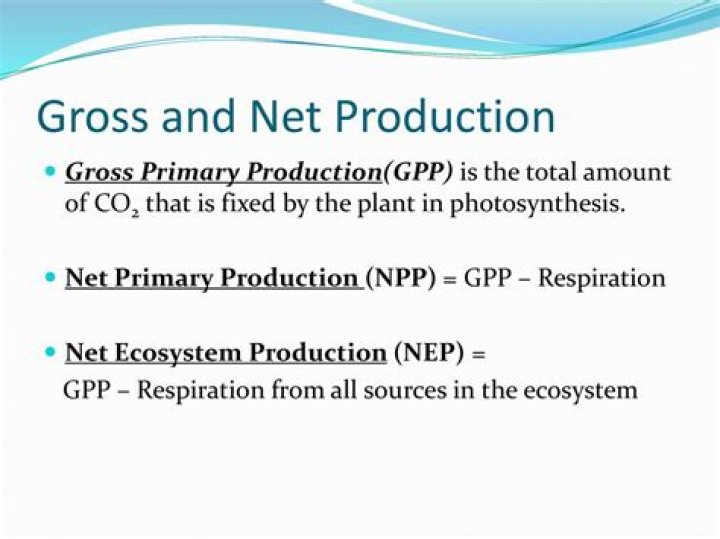 What methods are used to measure net and gross primary production?