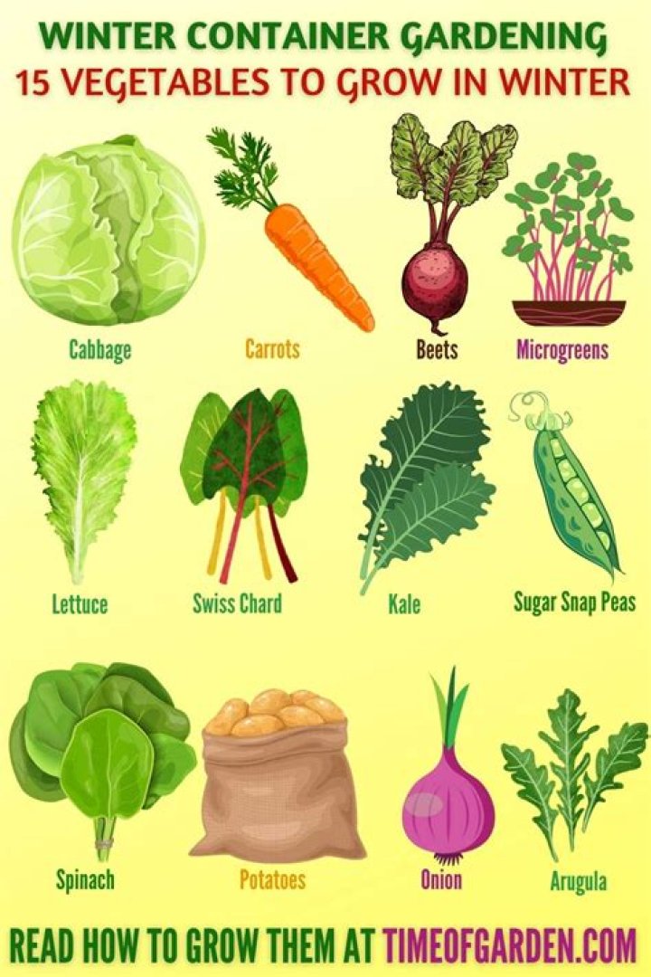 When should I plant winter vegetables?