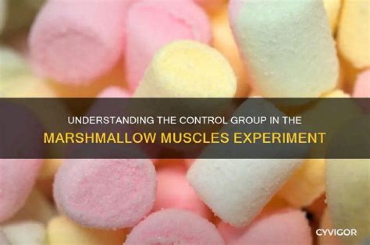 Which person is in the control group?