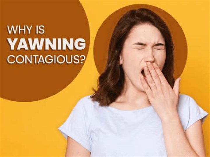 Why do you put your hand over your mouth when you yawn?