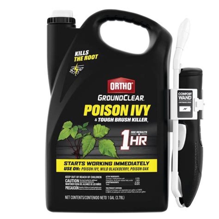 Will Ortho Ground Clear kill poison ivy?